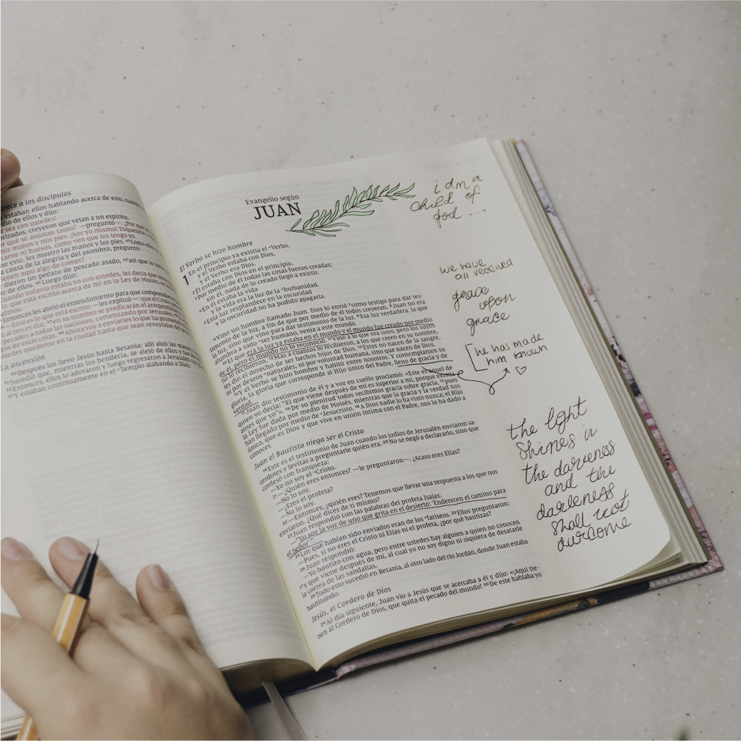 Biblia Edición Artística, NVI Revisión 2022 (Tela, Multicolor)