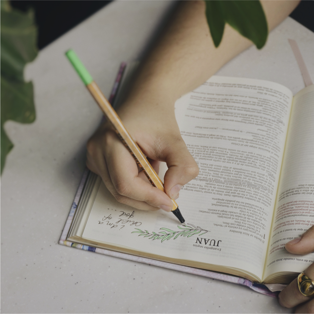 Biblia Edición Artística, NVI Revisión 2022 (Tela, Multicolor)