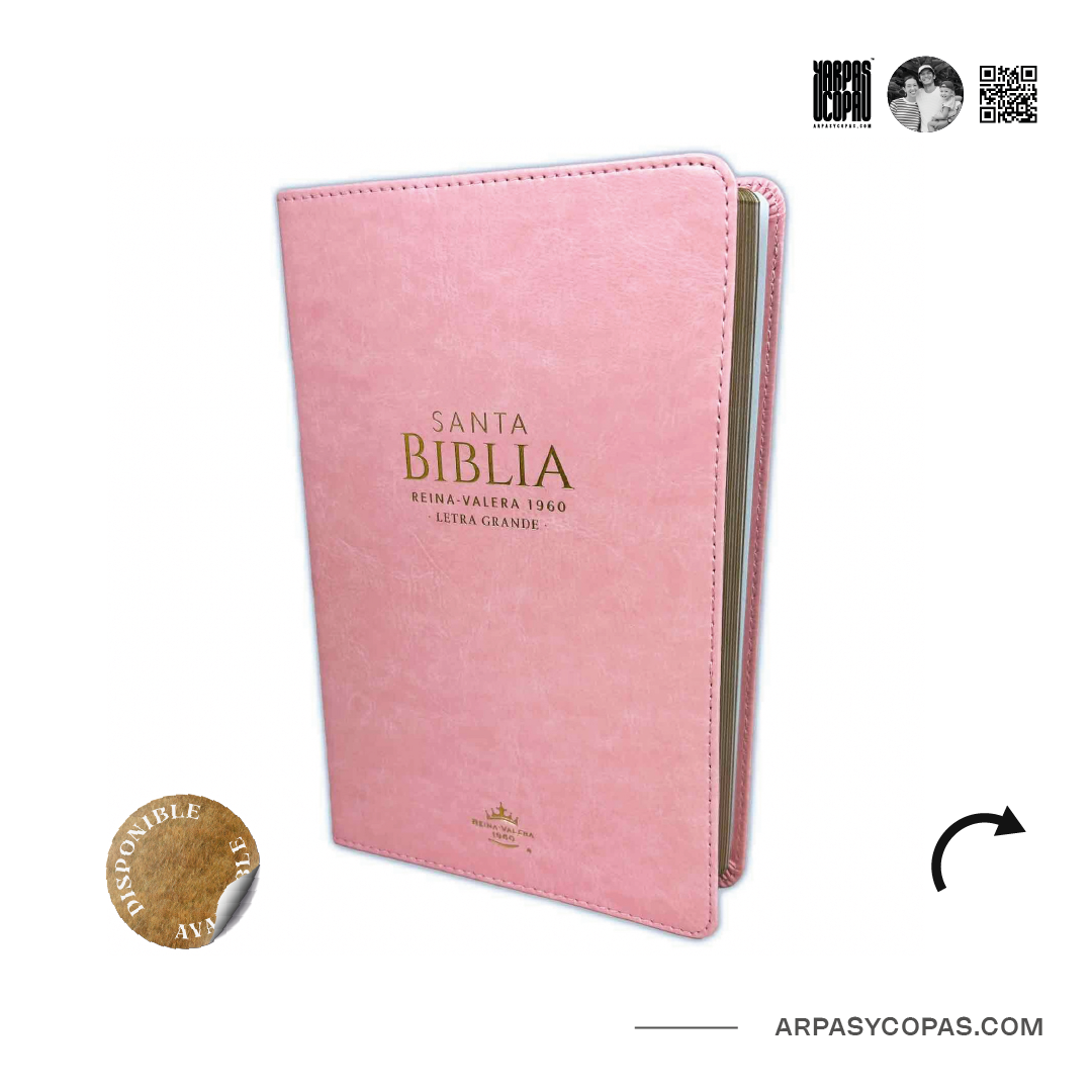 Biblia RVR1960 Manual LG - I / Piel Rosa