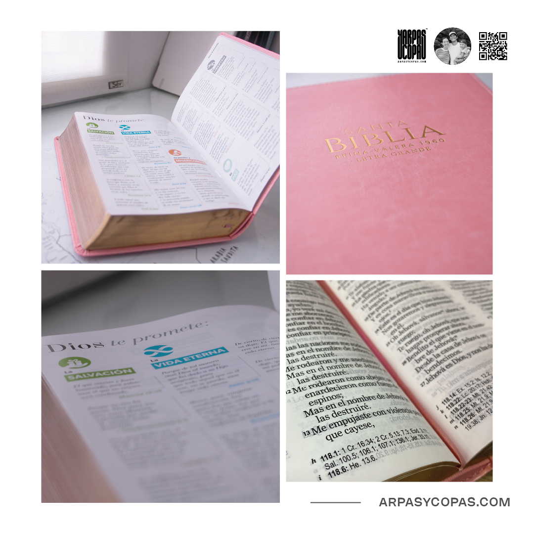 Biblia RVR1960 Manual LG - I / Piel Rosa