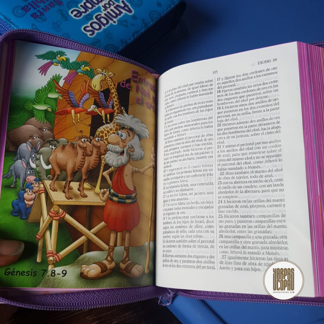 Biblia Amigos Por Siempre (Rosada Acolchada)