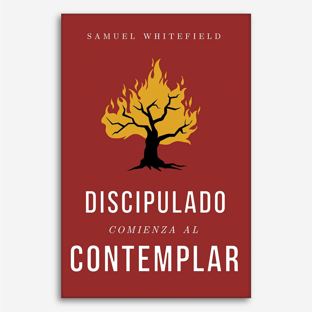 Discipulado Comienza al Contemplar