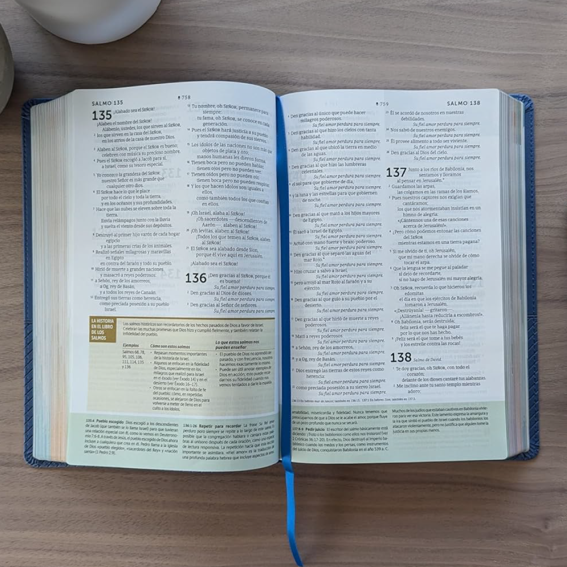 Biblia de Estudio Diario Vivir para Jovenes con Filament (Tapa Dura)