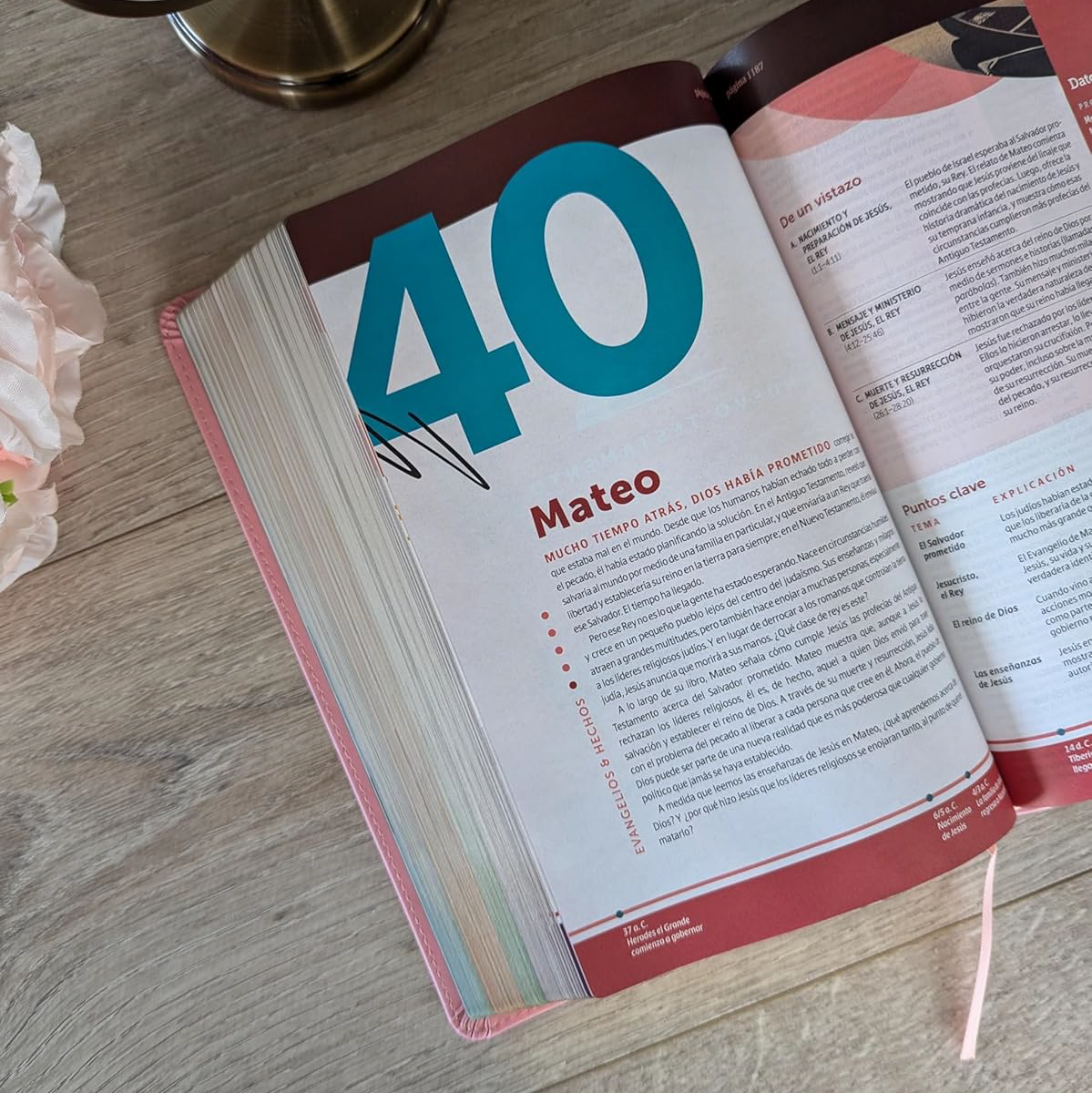 Biblia de Estudio Diario Vivir para Jovenes con Filament (Tapa Dura)