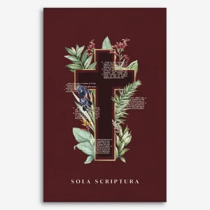 Biblia Sola Scriptura, NBLA (Letra Grande, Tapa dura)