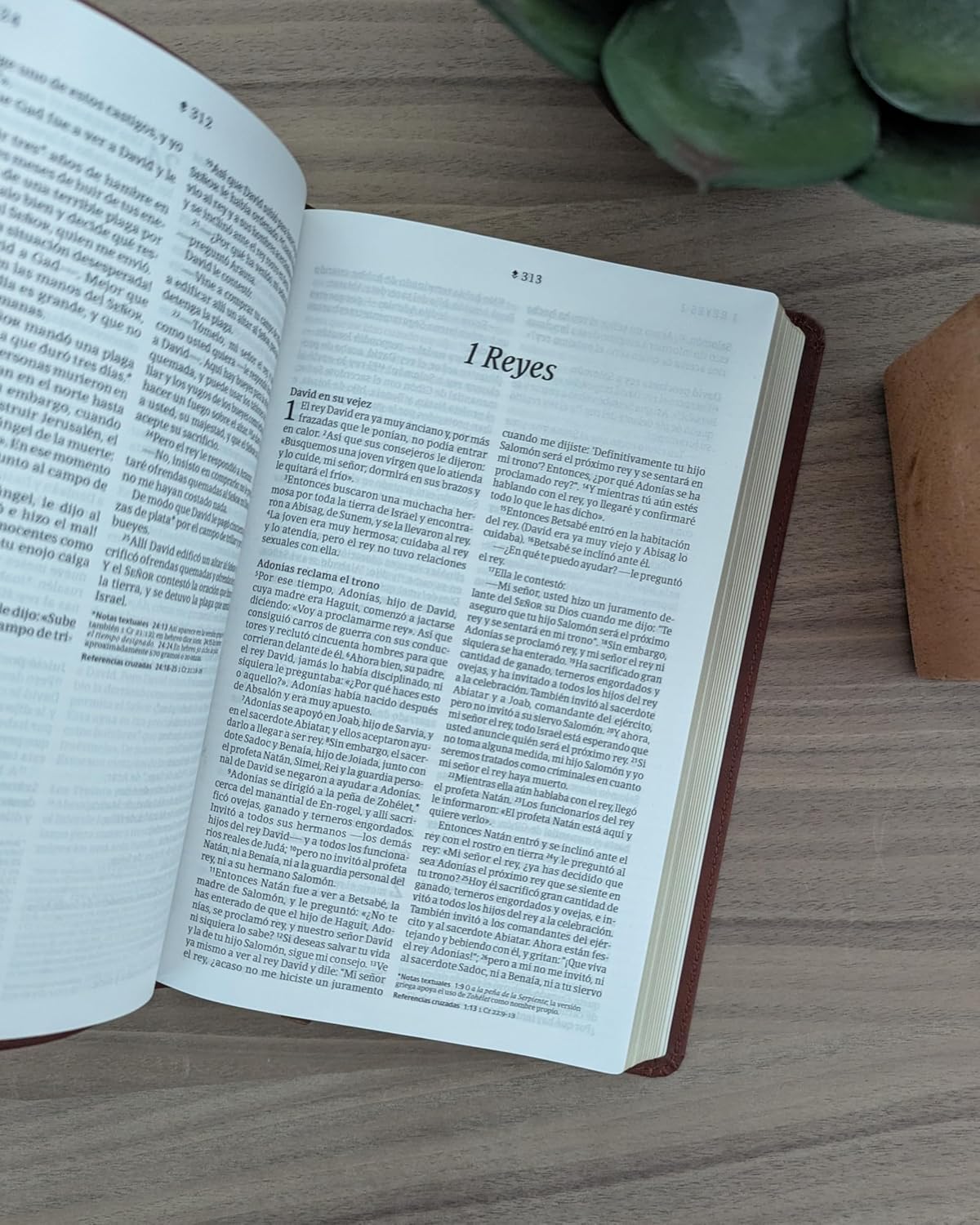 Biblia Ultrafina con Filament (SentiPiel, Café, Letra Roja)