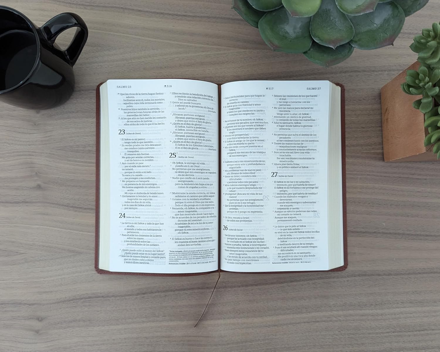 Biblia Ultrafina con Filament (SentiPiel, Café, Letra Roja)
