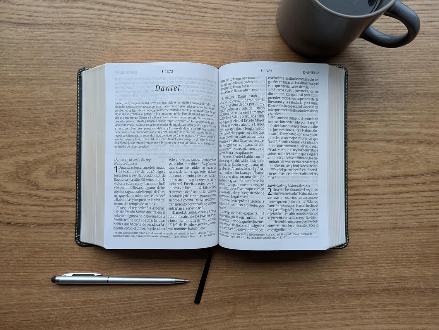 Biblia Compacta, Letra gigante con Filament (SentiPiel, Gris, Letra Roja)