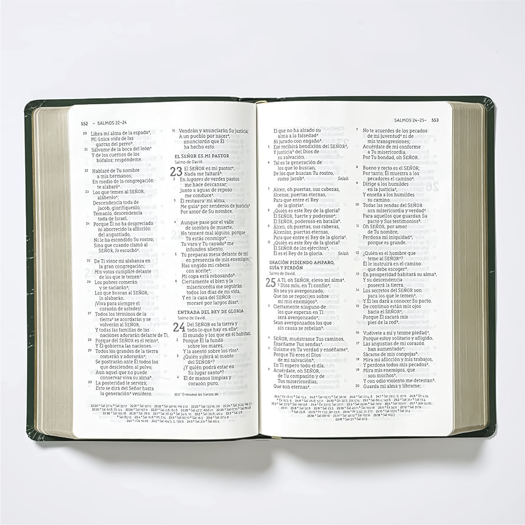 BIblia Historia de Redención, NBLA (Letra Grande, Flexcover)