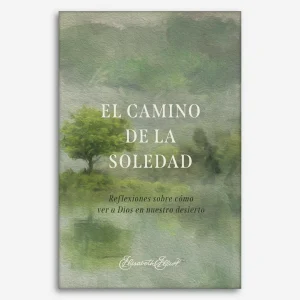 El camino de la soledad: reflexiones sobre cómo ver a Dios en nuestro desierto