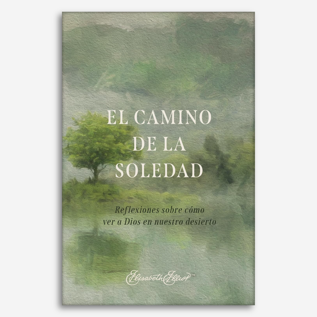 El camino de la soledad: reflexiones sobre cómo ver a Dios en nuestro desierto