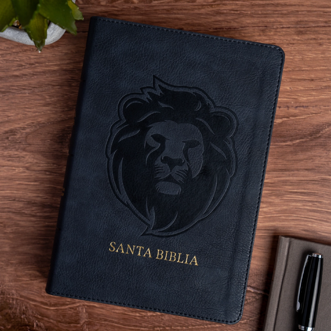 Biblia RVR 1960, letra grande tamaño manual edición especial, ceniza, símil piel