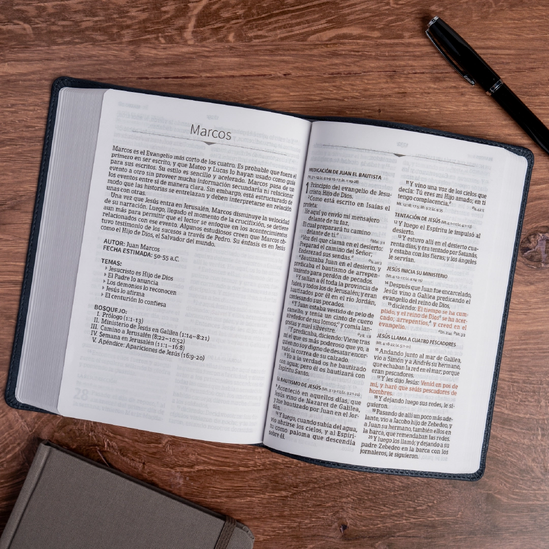 Biblia RVR 1960, letra grande tamaño manual edición especial, ceniza, símil piel