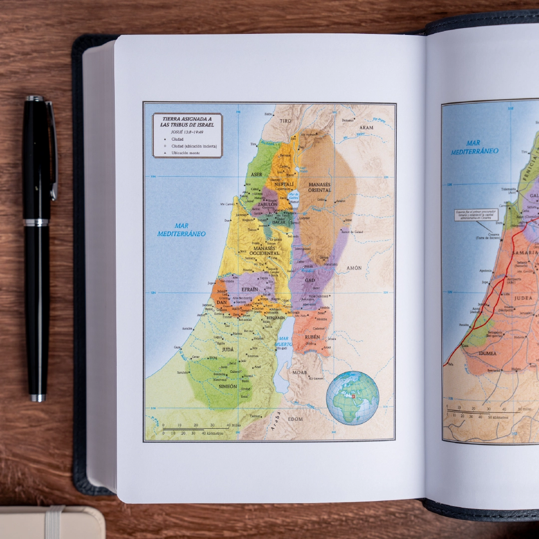 Biblia RVR 1960, letra grande tamaño manual edición especial, ceniza, símil piel