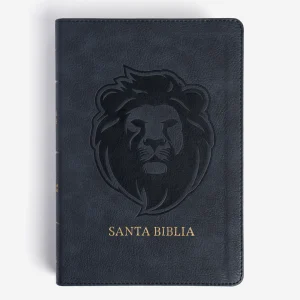 Biblia RVR 1960, letra grande tamaño manual edición especial, ceniza, símil piel