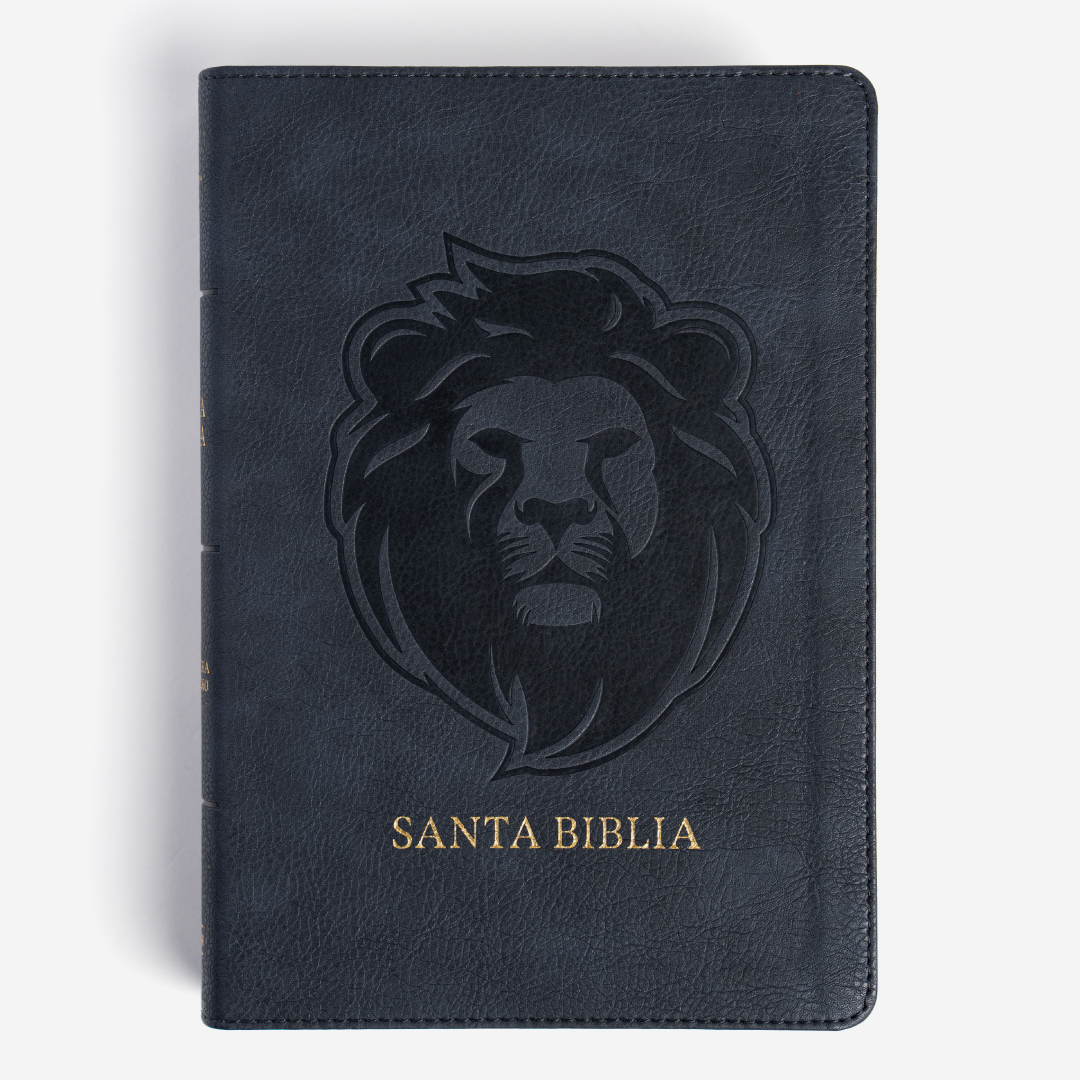 Biblia RVR 1960, letra grande tamaño manual edición especial, ceniza, símil piel