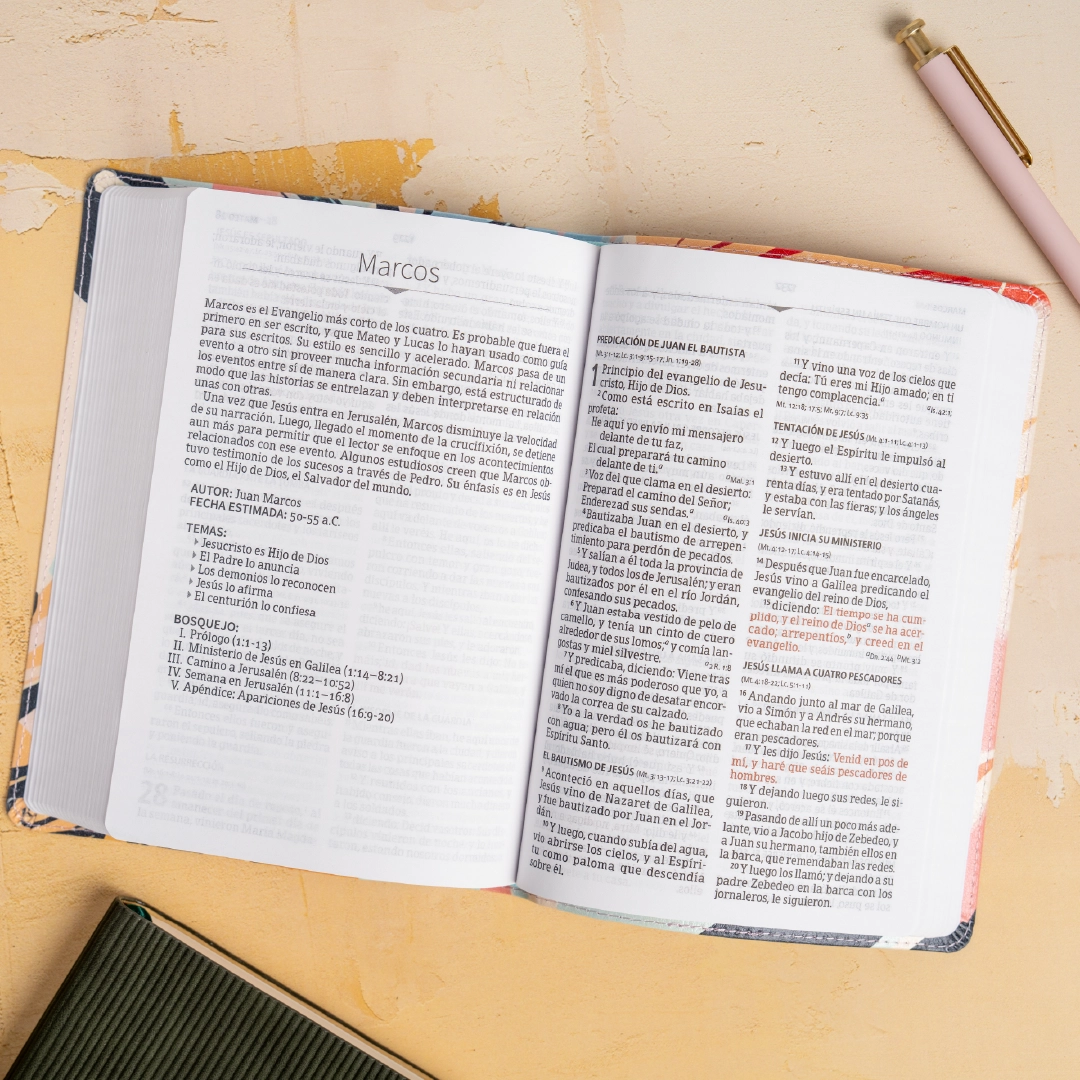 Biblia RVR 1960, letra grande tamaño manual edición especial, multicolor, símil piel