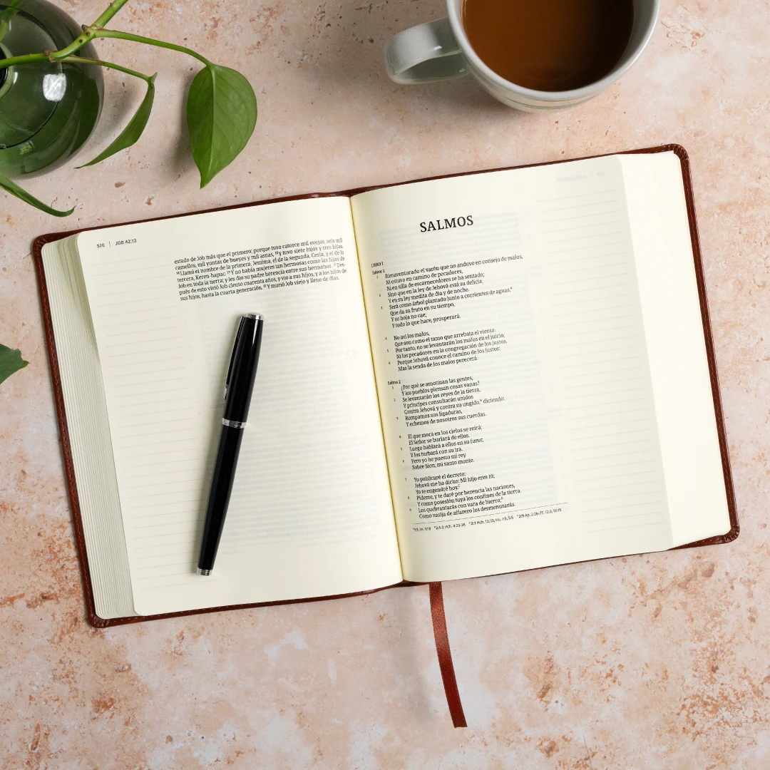 Biblia de Apuntes RVR 1960, Tamaño Personal, Café, (Símil Piel)